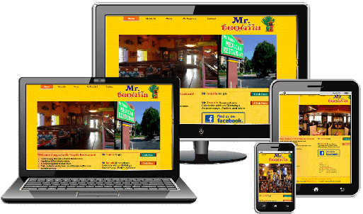 Website Design Naples FL responsive-web-design-naples-fl-mr-tequila