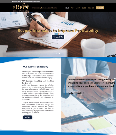 Website Design Naples Florida (9)