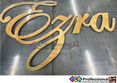 interior indoor wall signs lettering ez